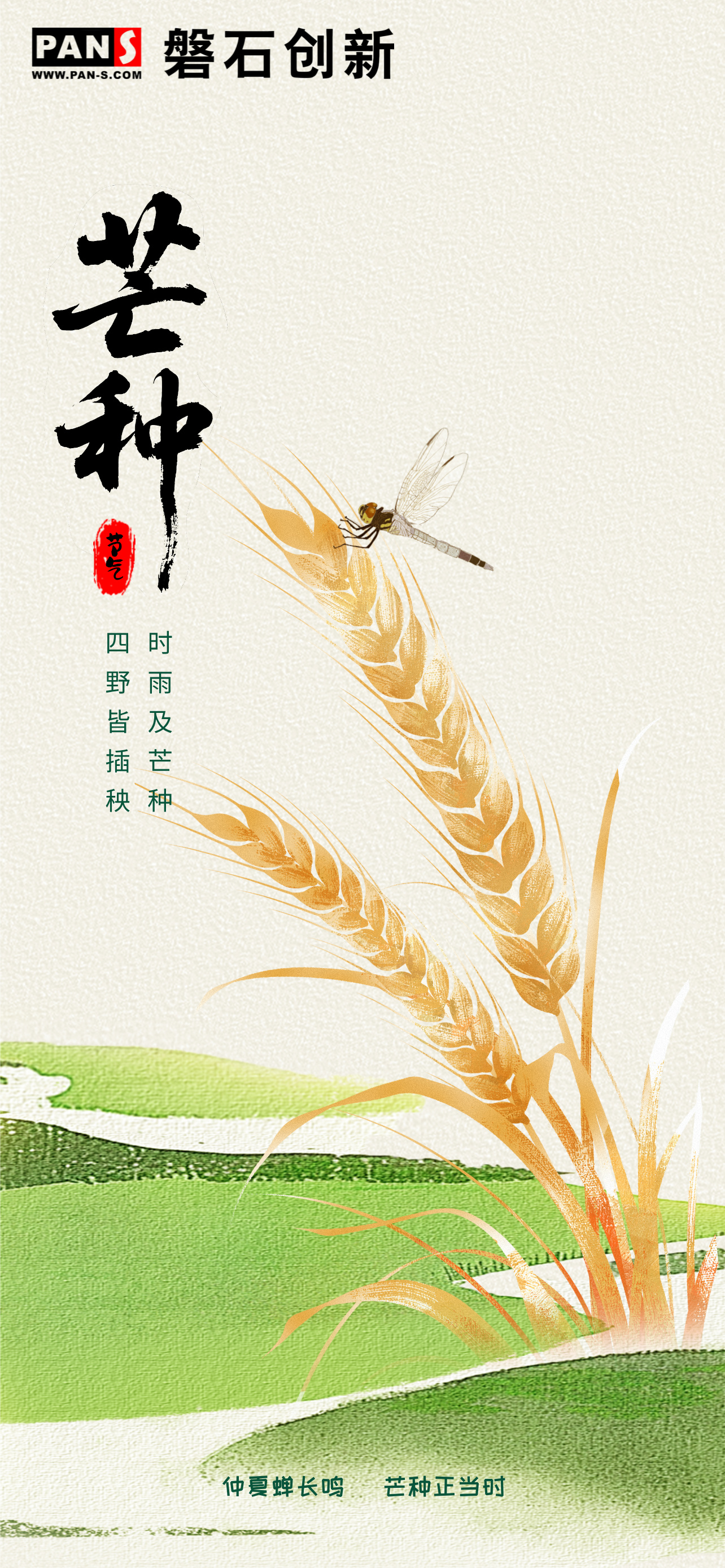 芒种.jpg